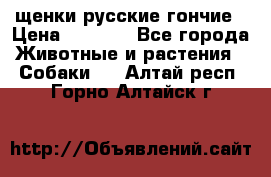 щенки русские гончие › Цена ­ 4 000 - Все города Животные и растения » Собаки   . Алтай респ.,Горно-Алтайск г.